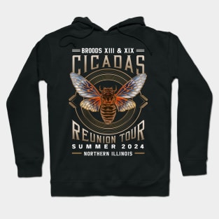 Cicada 2024-Double Brood Emergence XIII & XIX Reunion vintage Hoodie